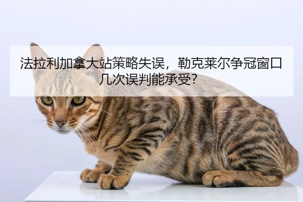fa-la-li-jia-na-da-zhan-ce-lve-shi-wu-lei-ke-lai-er-zheng-guan-chuang-kou-ji-ci-wu-pan-neng-cheng-shou-2-728.jpg