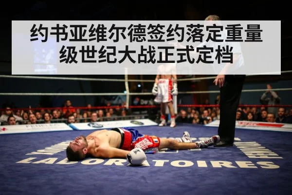 boxing ring knockout