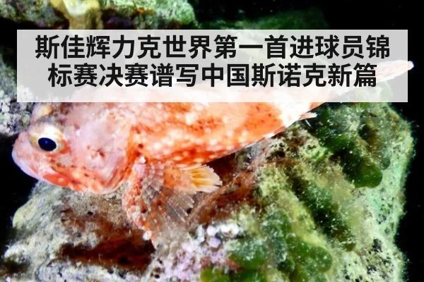 斯佳辉力克世界第一首进球员锦标赛决赛谱写中国斯诺克新篇